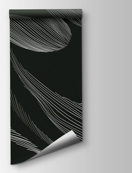Fototapet O linie albă pe un fundal negru, Fototapet designer, Fototapet populare, w01216v2 - Tapeko.ro