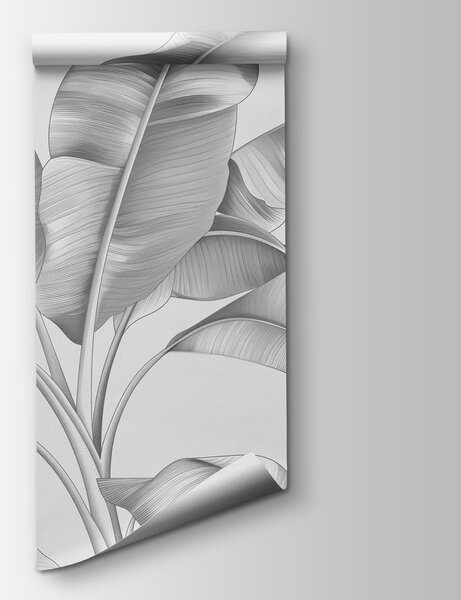 Fototapet Frunze elegante într-un design monocrom, Fototapet natură, Fototapet populare, w07877 - Tapeko.ro