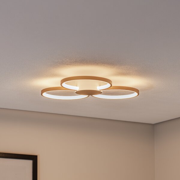 BEGA Bega plafonieră LED 51299.4, alamă catifelată, metal, DALI, reglabil, Auriu / Alamă, Camera de zi / sufragerie, Metal