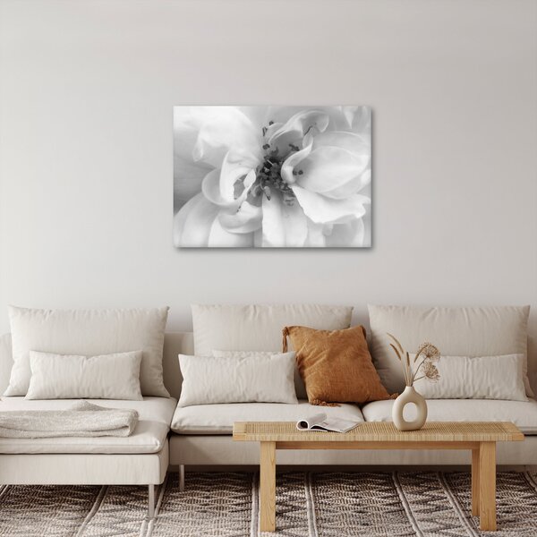 Tablou - Floare,alb-negru (70x50 cm)
