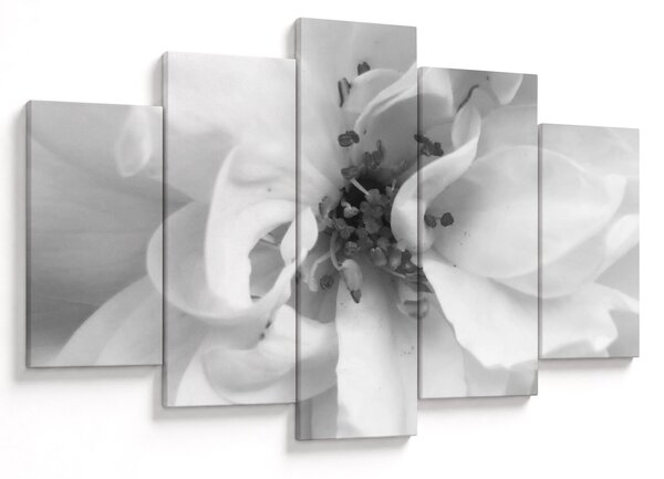 Tablou - Floare,alb-negru (150x105 cm)