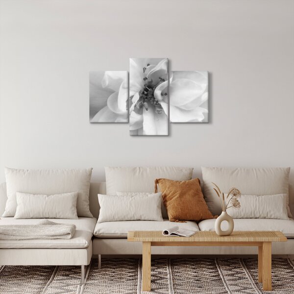 Tablou - Floare,alb-negru (90x60 cm)