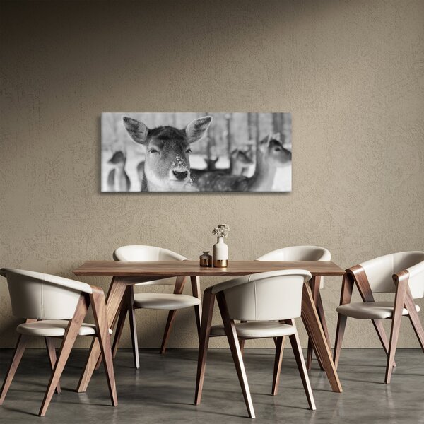 Tablou - Cerbi,alb-negru (120x50 cm)