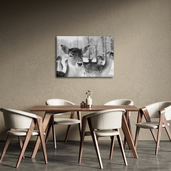 Tablou - Cerbi,alb-negru (70x50 cm)