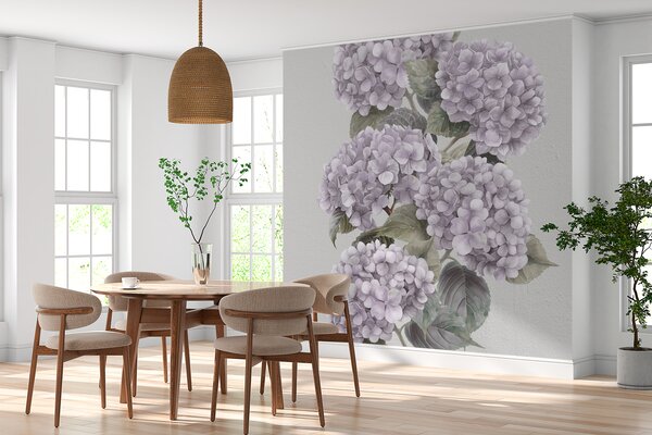 Fototapet Hortensii lavanda în floare elegantă, Populare fototapet, Populare fototapet, w08176v1 - Muralas.ro