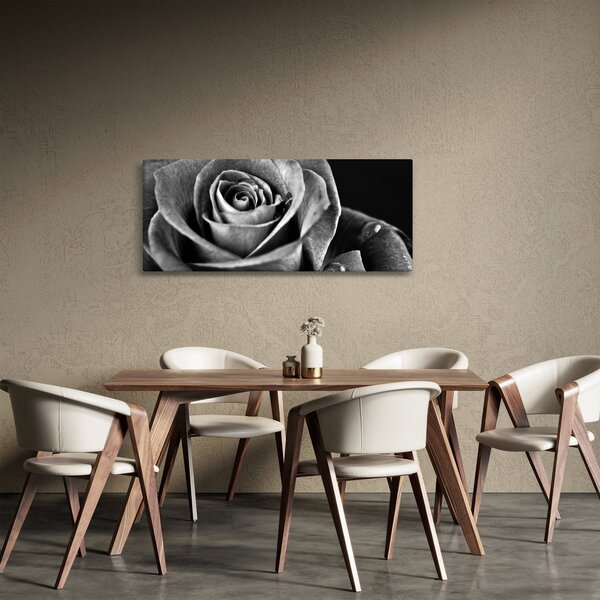 Tablou - Trandafir,alb-negru (120x50 cm)