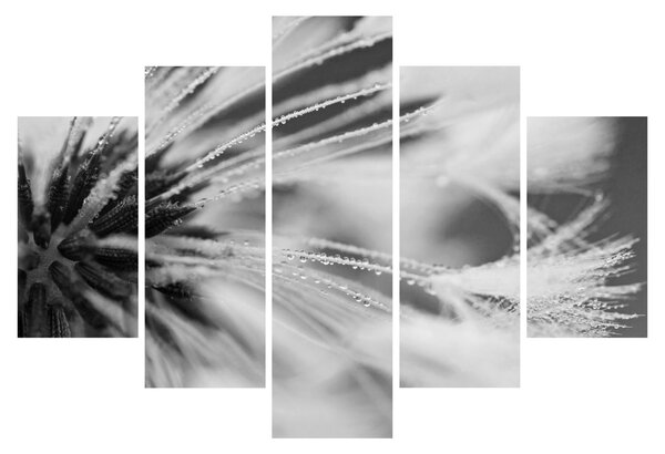 Tablou - Macro,alb-negru (150x105 cm)