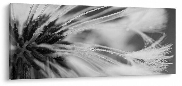 Tablou - Macro,alb-negru (120x50 cm)