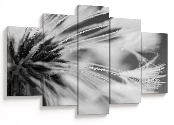 Tablou - Macro,alb-negru (150x105 cm)