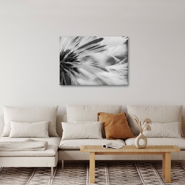 Tablou - Macro,alb-negru (70x50 cm)