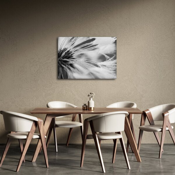Tablou - Macro,alb-negru (70x50 cm)