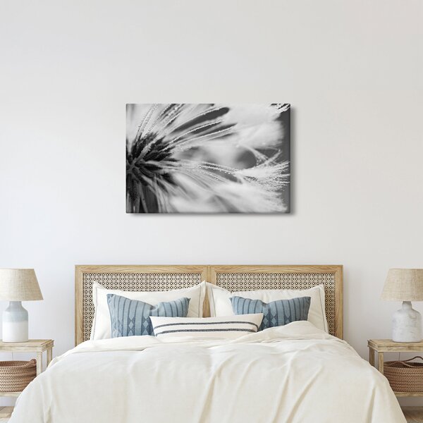 Tablou - Macro,alb-negru (90x60 cm)
