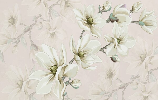 Fototapet Magnolii elegante care înfloresc primăvara, Populare fototapet, Populare fototapet, w00982v1 - Muralas.ro