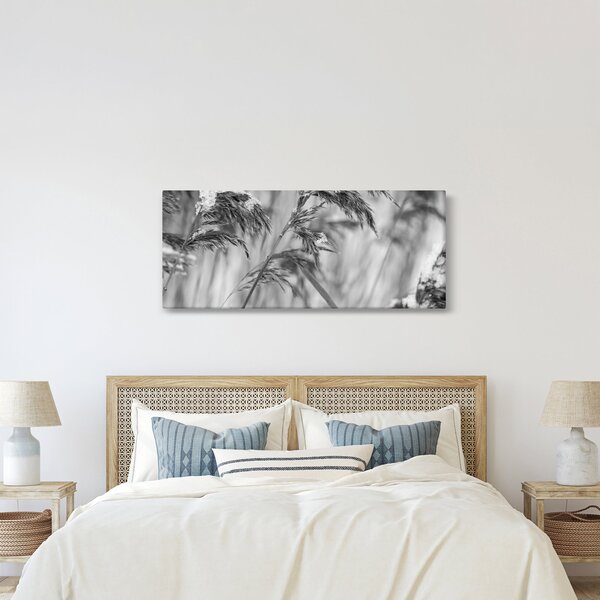 Tablou - Tei,alb-negru (120x50 cm)