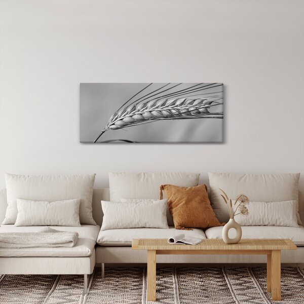 Tablou - Grâu,alb-negru (120x50 cm)
