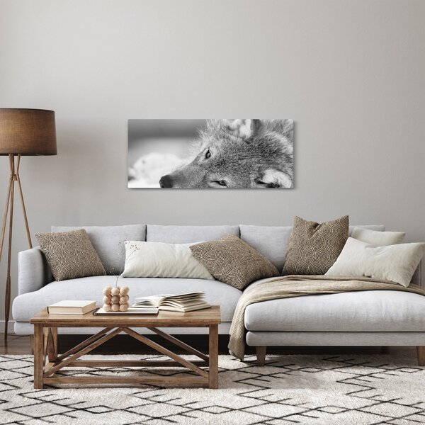 Tablou - Lup,alb-negru (120x50 cm)