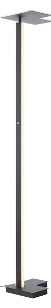 Brilliant Lampadar LED Mora, antracit, înălțime 178 cm, metal, reglabil, Negru, Camera de zi / sufragerie, Metal, Modern