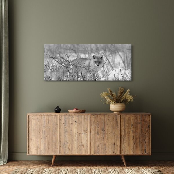 Tablou - Vulpe,alb-negru (120x50 cm)