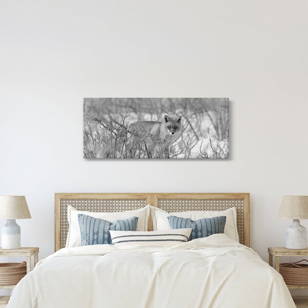 Tablou - Vulpe,alb-negru (120x50 cm)