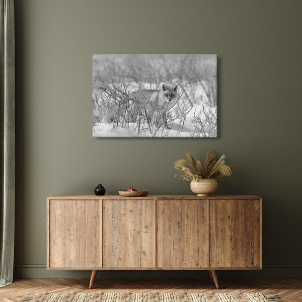 Tablou - Vulpe,alb-negru (90x60 cm)