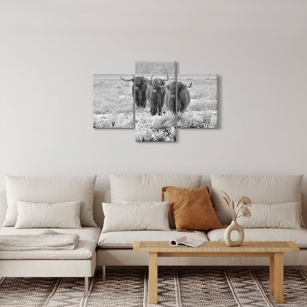 Tablou - Vaci scoțiene,alb-negru (90x60 cm)