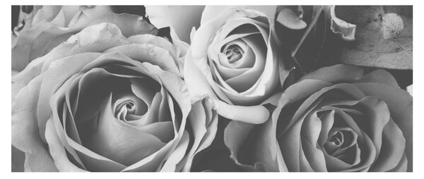 Tablou - Trandafir,alb-negru (120x50 cm)