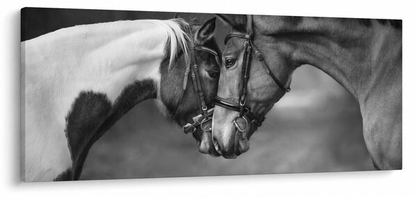 Tablou - Cai îndrăgostiți,alb-negru (120x50 cm)