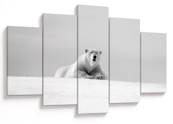 Tablou - Urs polar,alb-negru (150x105 cm)