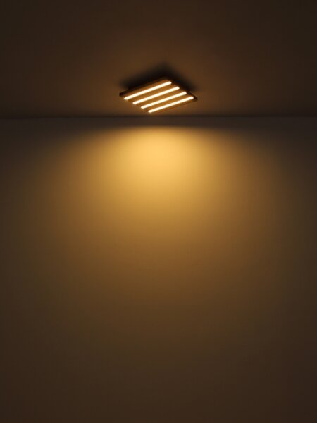 Globo HAYDEN 67347D4 - Plafonieră LED, 30W, 230V, 3000K, 80 x 20 cm