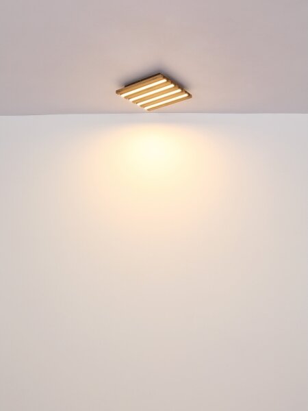 Globo HAYDEN 67347D4 - Plafonieră LED, 30W, 230V, 3000K, 80 x 20 cm