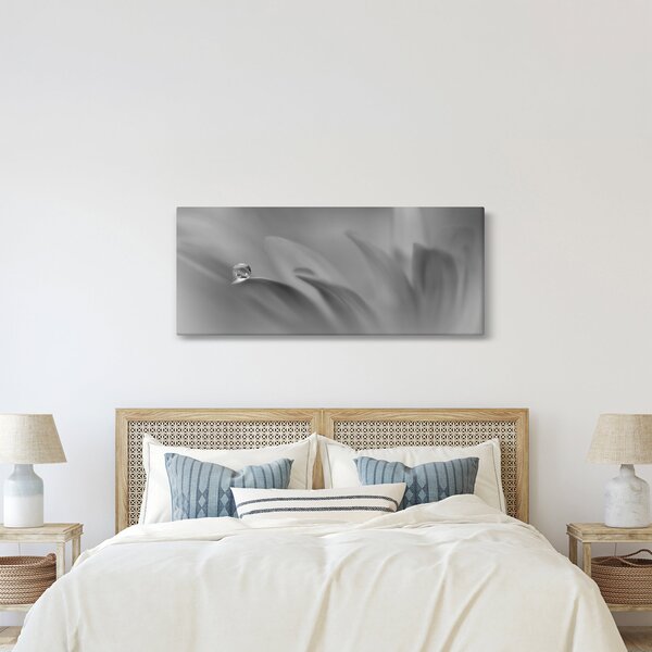 Tablou - Picătură pe floare,alb-negru (120x50 cm)