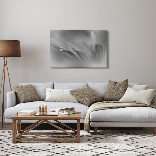 Tablou - Picătură pe floare,alb-negru (90x60 cm)