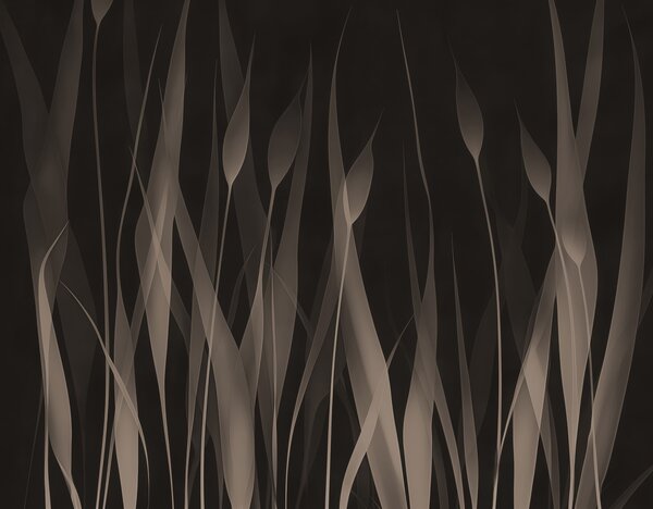 Fototapet Dans elegant de forme abstracte, Populare fototapet, Populare fototapet, w01019v4 - Muralas.ro