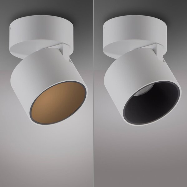 Plafoniere PURE, Cup, reglabil, Alb, Camera de zi, Metal, Modern