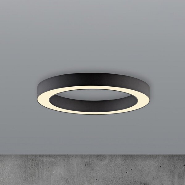 PURE Plafonieră LED Lines, Ø 35 cm, grafit, CCT, telecomandă, reglabil, Negru, Camera de zi / sufragerie, Metal, Modern