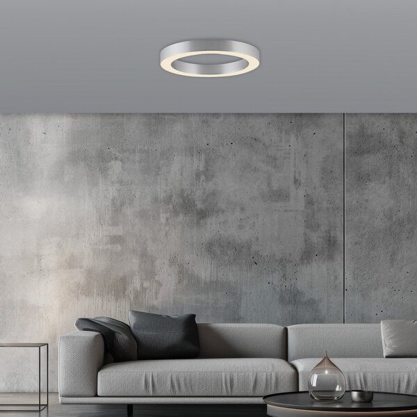 PURE Plafonieră LED Lines, Ø 35 cm, culoare argintiu, CCT, reglabil, Metalic, Camera de zi / sufragerie, Metal, Modern