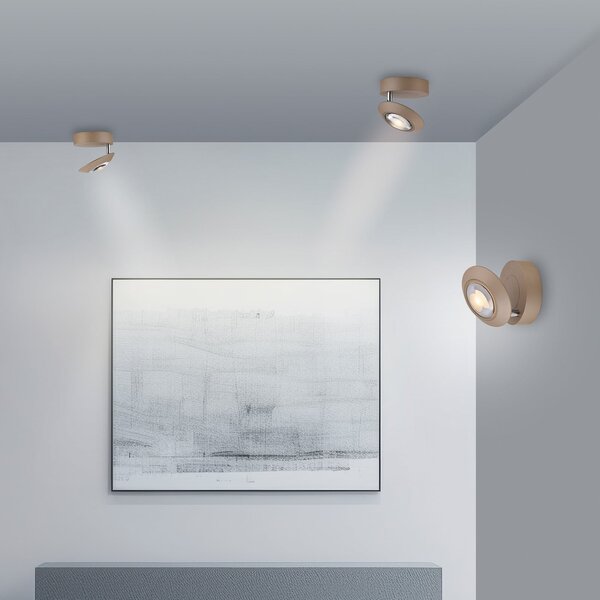 PURE Plafonieră LED Oculis, culoare bronz, Ø 15 cm, fier/sticlă, reglabil, Bronz / Alamă Veche, Camera de zi / sufragerie, Metal, Modern
