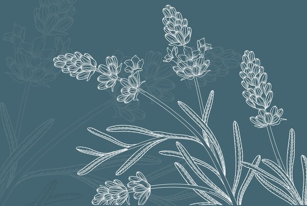 Fototapet Desenul unei plante, Fototapet flori, Fototapet populare, w02243v2 - Tapeko.ro
