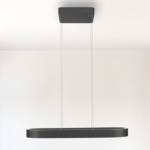 Paul Neuhaus lampă suspendată LED Q-Stretto, negru, 86,8 cm, reglabil, Negru, Camera de zi / sufragerie, Metal, Modern