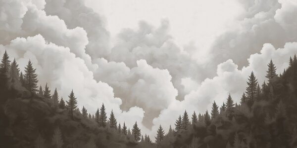 Fototapet Grup de copaci și nori, Fototapet natură, Fototapet populare, w02411v1 - Tapeko.ro