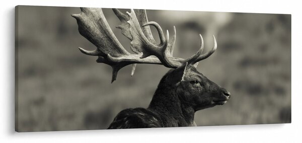Tablou - Cerb (120x50 cm)