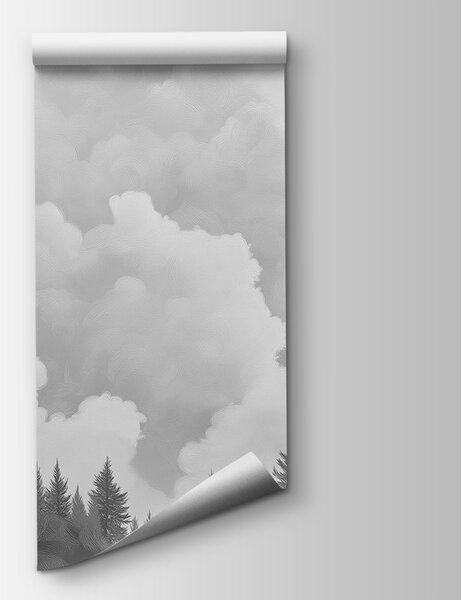 Fototapet Fotografie alb-negru a unei păduri, Fototapet natură, Fototapet populare, w02411v3 - Tapeko.ro