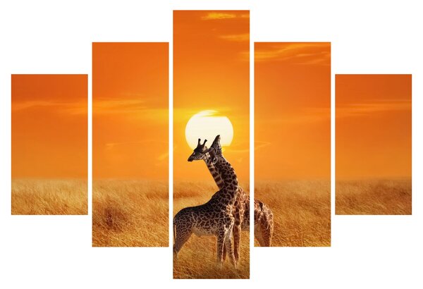 Tablou - Girafe în Parcul Național Serengeti (150x105 cm)