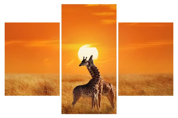 Tablou - Girafe în Parcul Național Serengeti (90x60 cm)