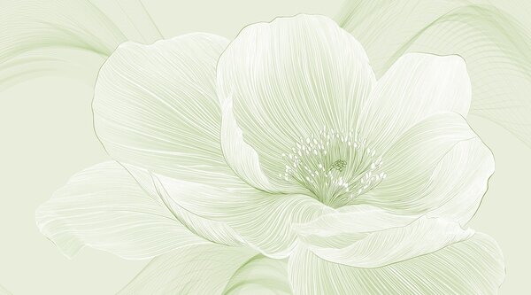 Fototapet Delicate linii ale frumuseții naturii, Fototapet natură, Fototapet populare, w02511v3 - Tapeko.ro
