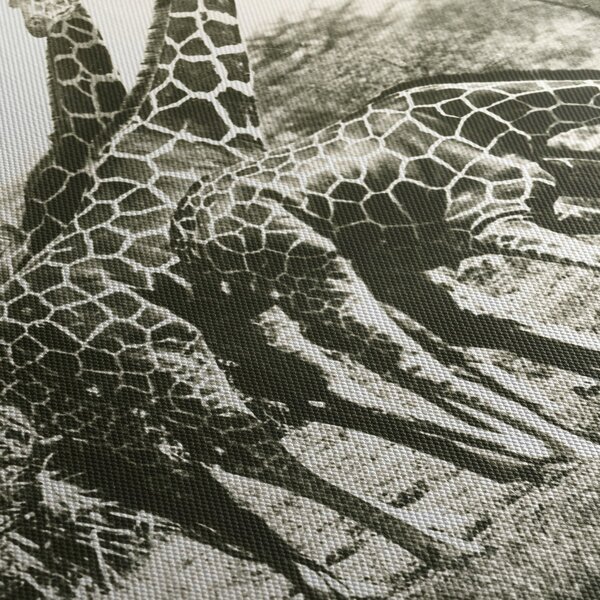 Tablou - Girafe, de epocă (cu ceas) (90x30 cm)