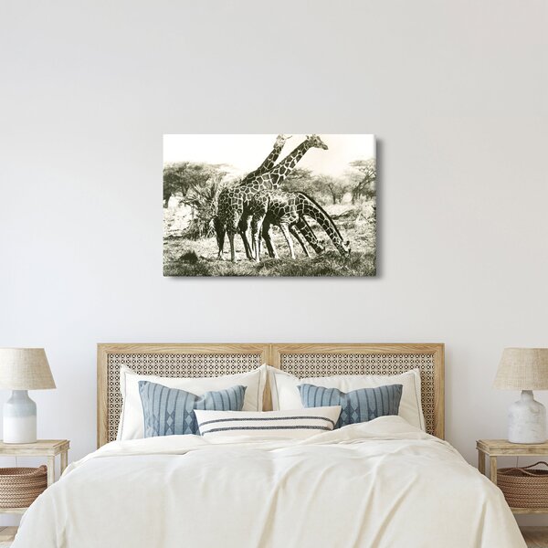 Tablou - Girafe, de epocă (90x60 cm)