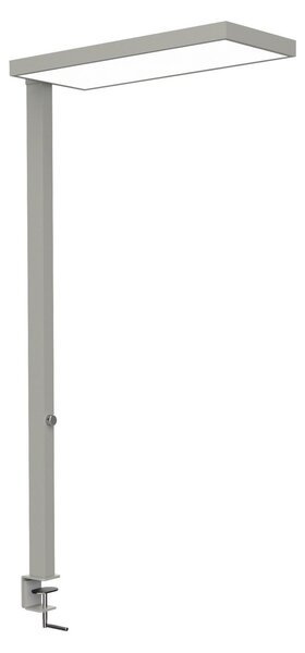 Maul Lampa cu clemă LED MAULjura, culoare argintiu, dimabil, 100 cm, reglabil, Metalic, Studiu / Birou, Aluminiu, Modern