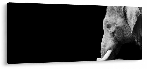 Tablou - Elefant (120x50 cm)