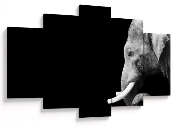 Tablou - Elefant (150x105 cm)